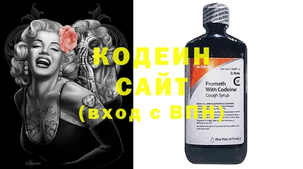 прущие грибы Балабаново