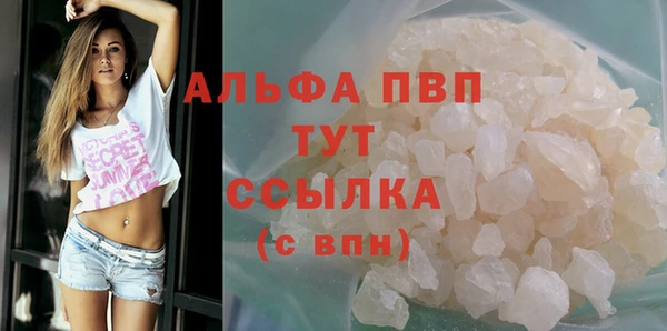индика Баксан