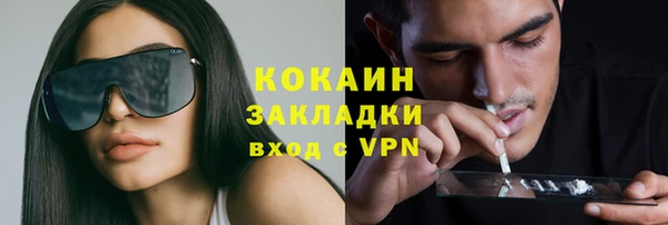 прущие грибы Балабаново