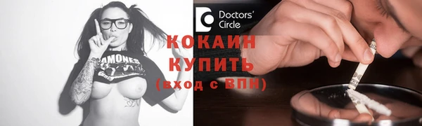 индика Баксан