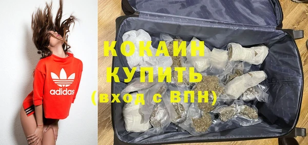 индика Баксан