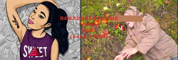 прущие грибы Балабаново