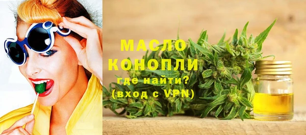 индика Баксан