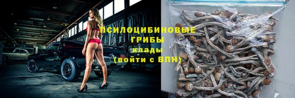Альфа ПВП Белокуриха