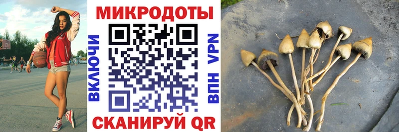 Галлюциногенные грибы Magic Shrooms  Сердобск 